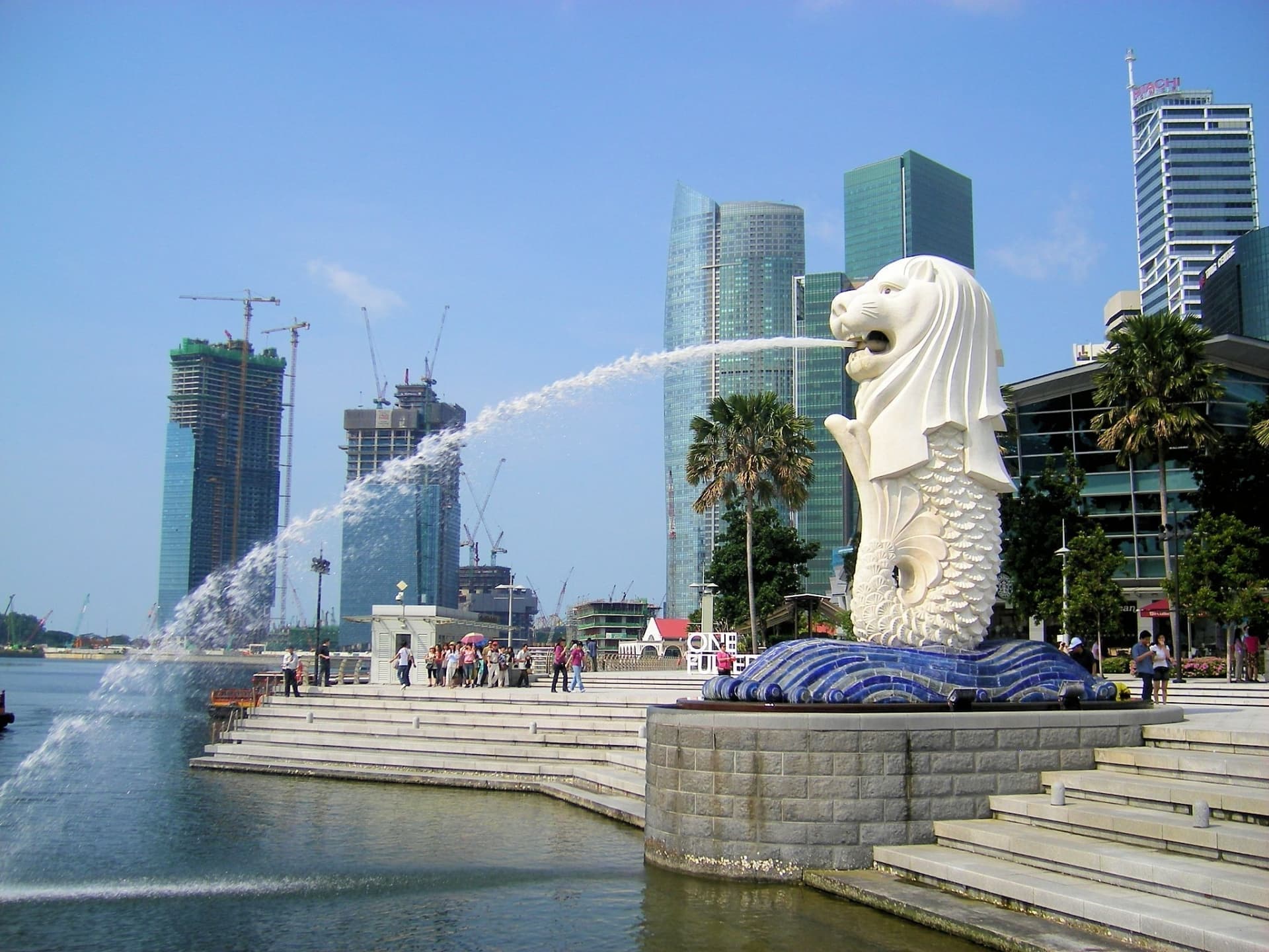 25323516_m.jpg