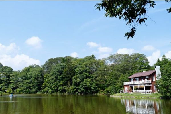 毎回大人気のお食事