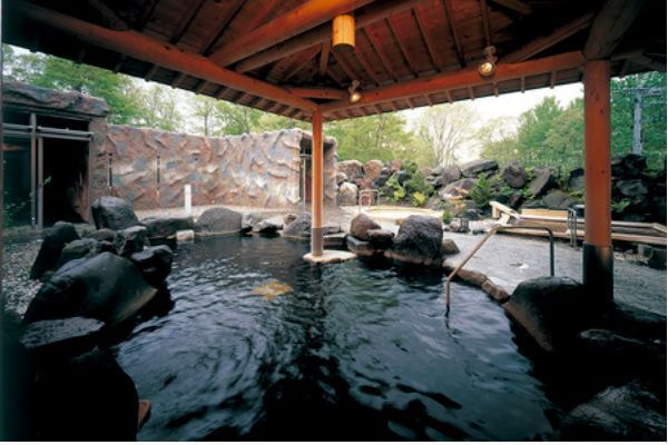 人気のバイキング(イメージ)